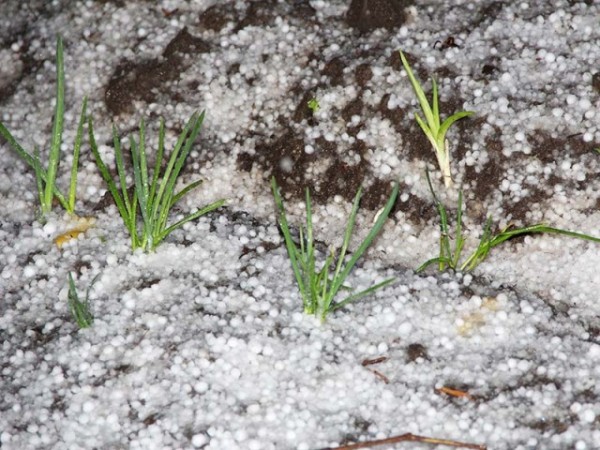 Առանձին վայրերում սպասվում է կարկուտ