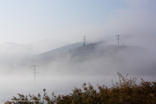 Սպասվում են տեղումներ և մառախուղ