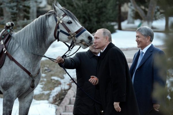ՖՈՏՈ. Ղրղզստանի նախագահը ցեղական ձի է նվիրել Պուտինին