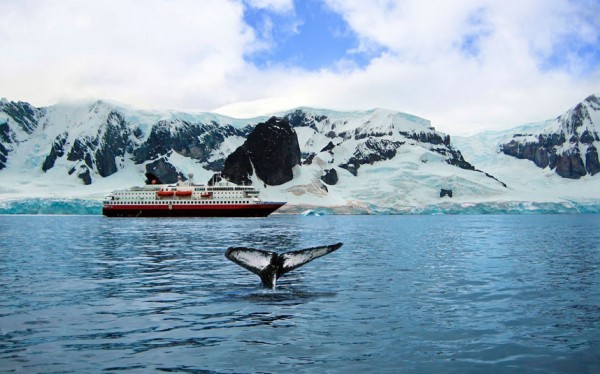 A cruise ship anchored in Neko Harbor, Gerlache Strait, Antarctic Peninsula, Antarctica, Polar Regions