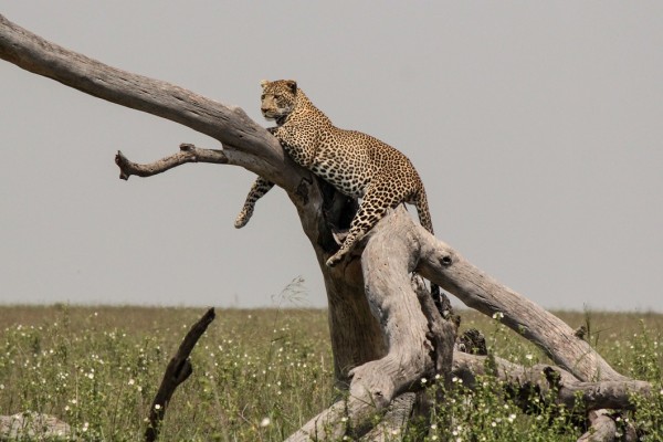 Tanzania Daily Life