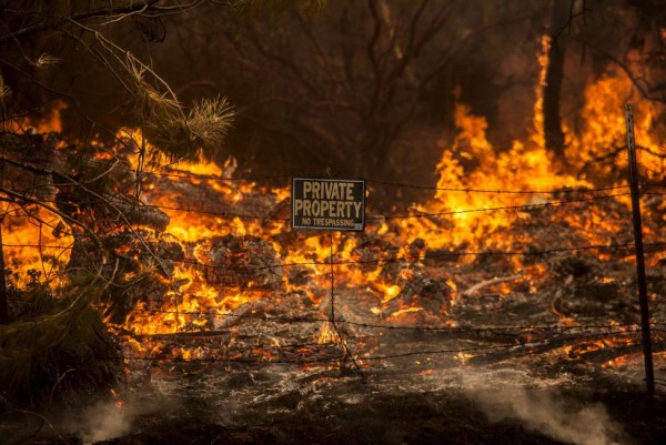 The Rocky Fire burns through a fence line in Lake County,  July 30, 2015.  REUTERS/Max Whittaker