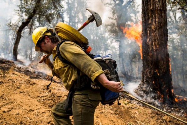 Lassen National Forest Service Assistant Fire Engine Operator Adam Giordano drags a hose up a fire line at the Rocky Fire in Lake County, July 30, 2015. REUTERS/Max Whittaker