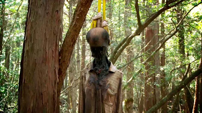 Ունիկալ գերեզմանատուն՝ Կալիֆոռնիայում .3000 դոլարով մահացած մարդու մոխիրը կամփոփեն ընտրած ծառի մեջ