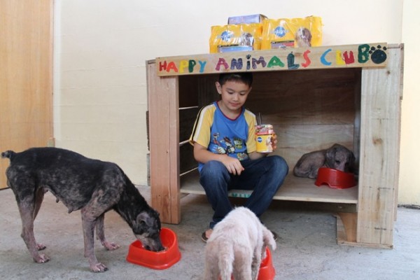 3640710-650-1447052794happy-animals-club-pet-shelter-kid-1