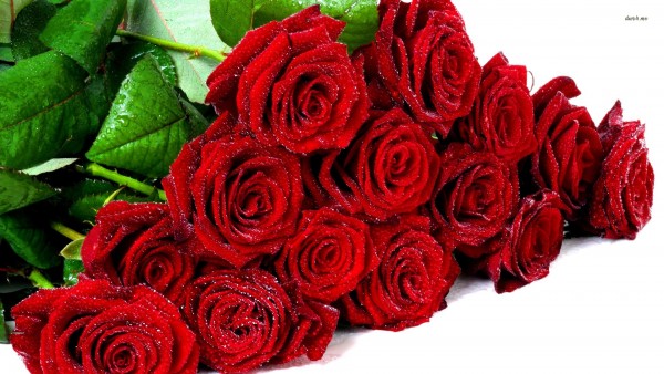21360-bouquet-of-wet-roses-1920x1080-flower-wallpaper
