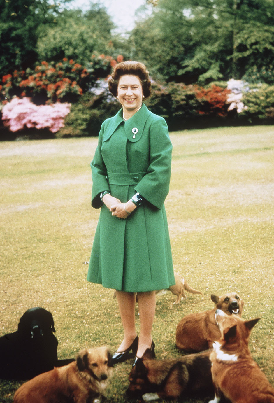 SANDRINGHAM; UNITED KINGDOM - UNSPECIFIED DATE: Queen Elizabeth II relaxes at Sandringham with her corgis. (Photo by Anwar Hussein/Getty Images)